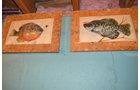 Property photo 49 - Real Estate & Personal Property Auction - 3BR Country Home on 1 Acre, Housewares, Tools, Antiques